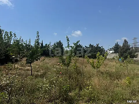 Satılır torpaq sahəsi — Bakı, Şağan