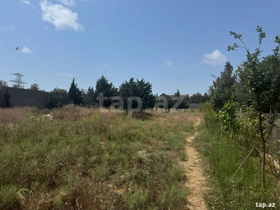 Satılır torpaq sahəsi