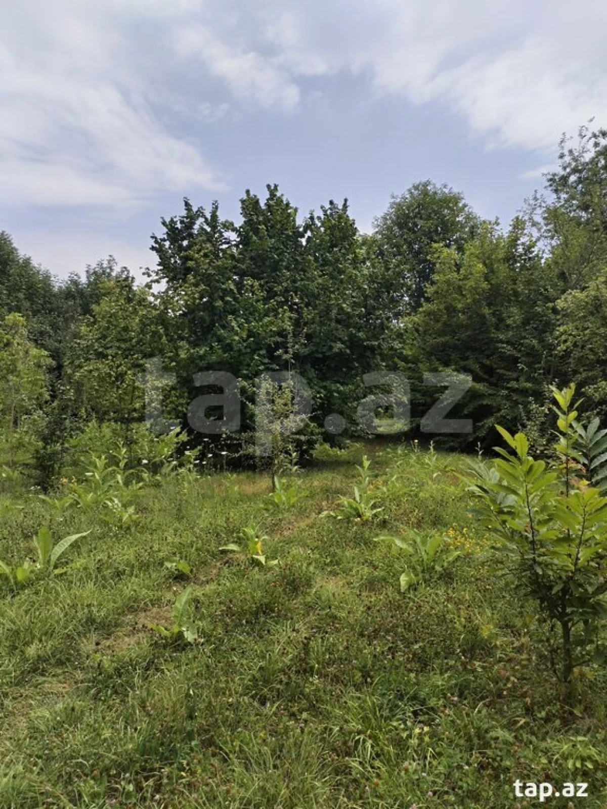 Satılır 2 otaqlı həyət evi 100 m²