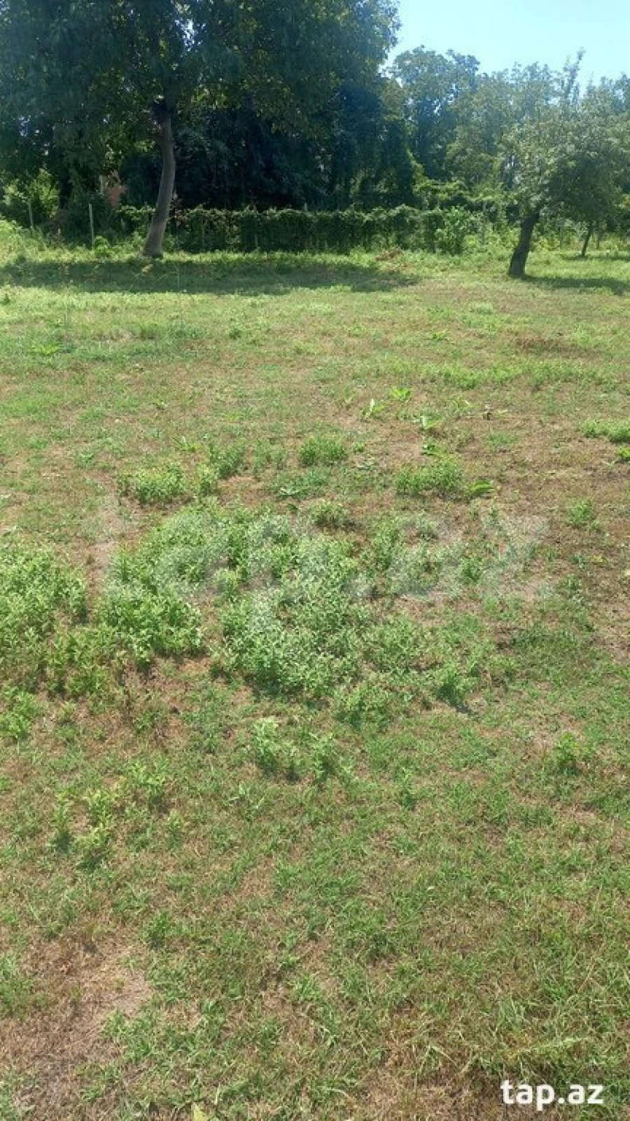 Satılır torpaq sahəsi