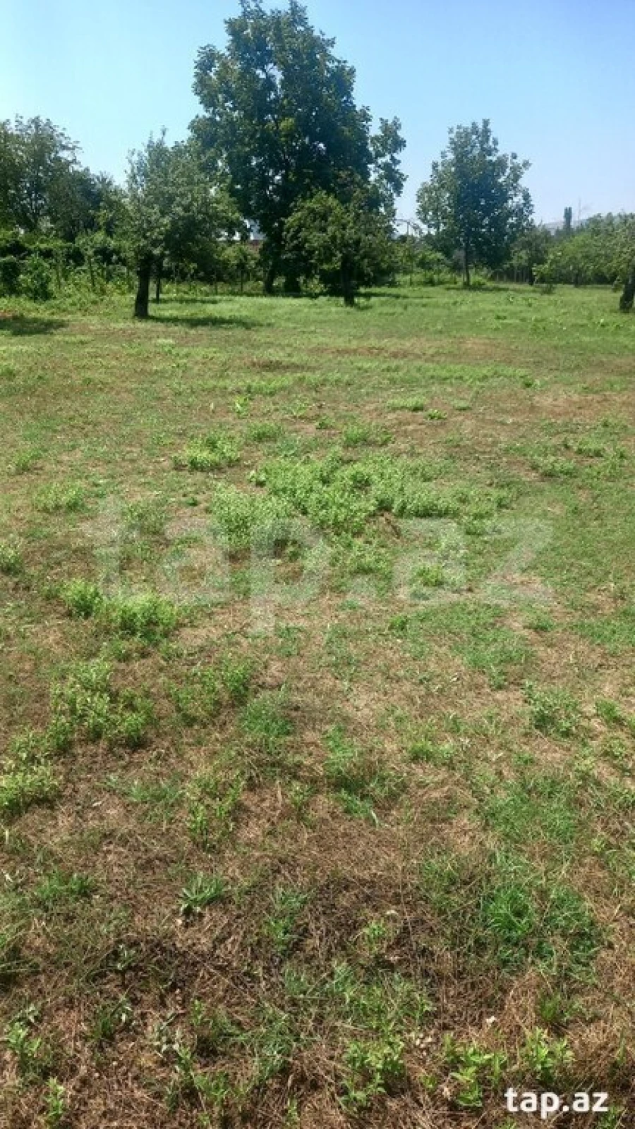 Satılır torpaq sahəsi