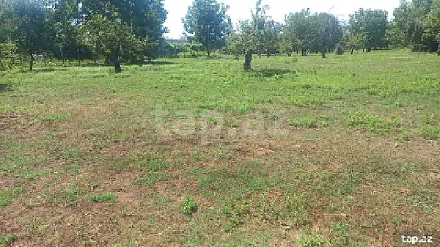 Satılır torpaq sahəsi