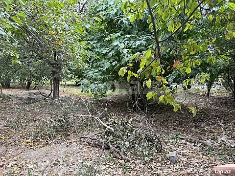 Satılır 8 otaqlı həyət evi