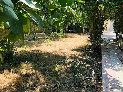 Kirayə verilir 5 otaqlı həyət evi