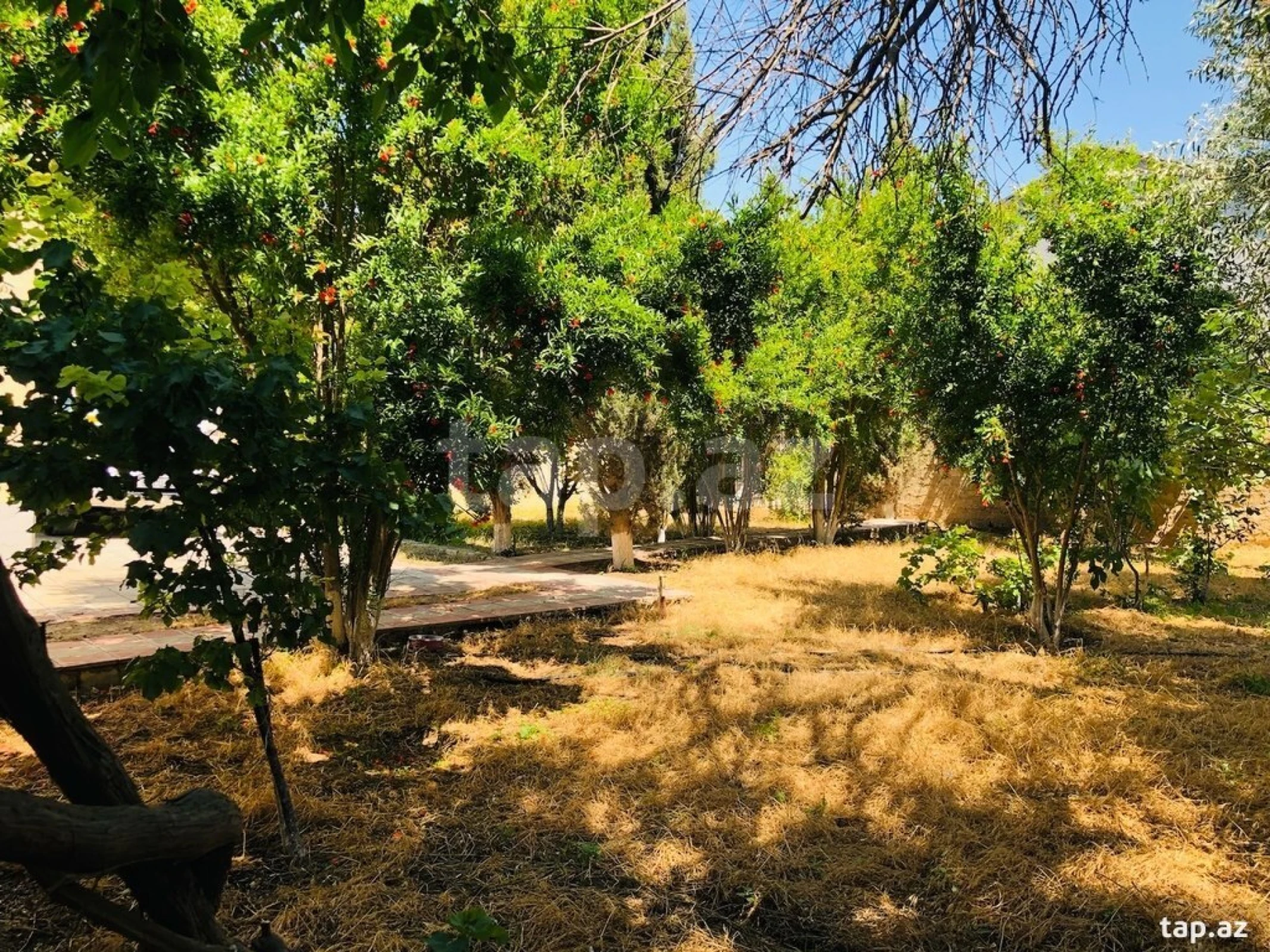 Kirayə verilir 5 otaqlı həyət evi