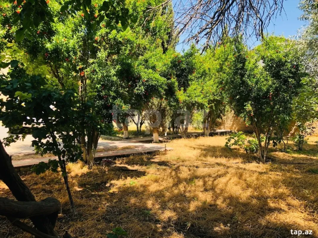 Kirayə verilir 5 otaqlı həyət evi