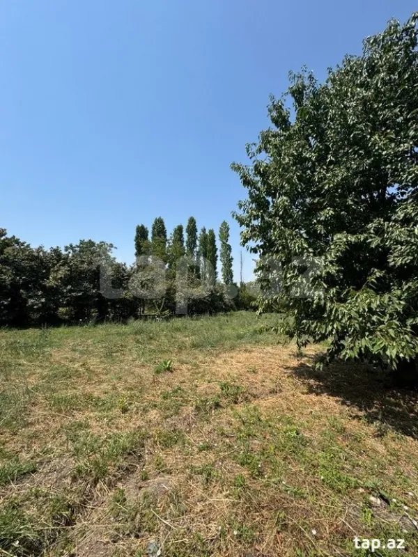 Satılır torpaq sahəsi