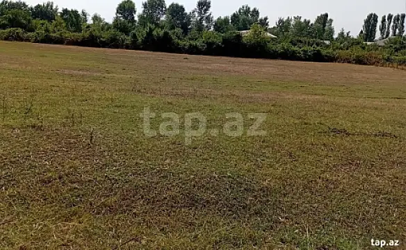Satılır torpaq sahəsi — Qəbələ