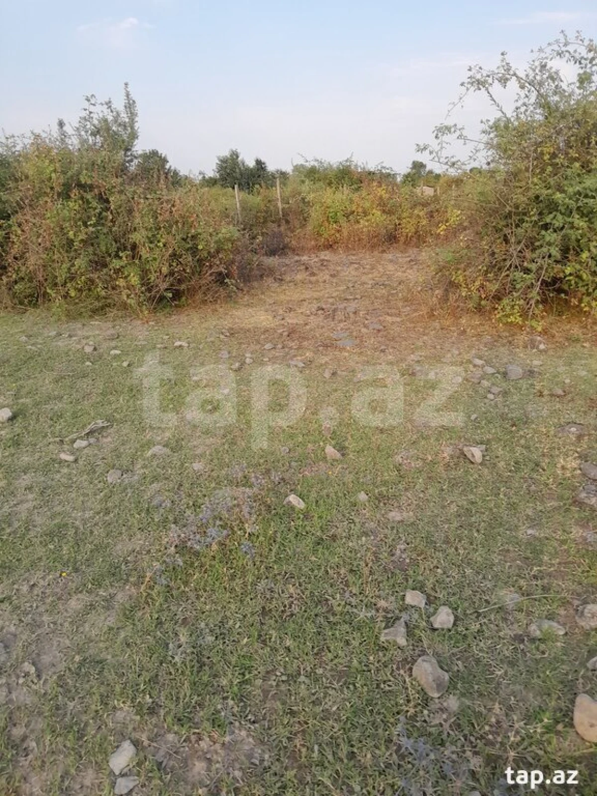 Satılır torpaq sahəsi