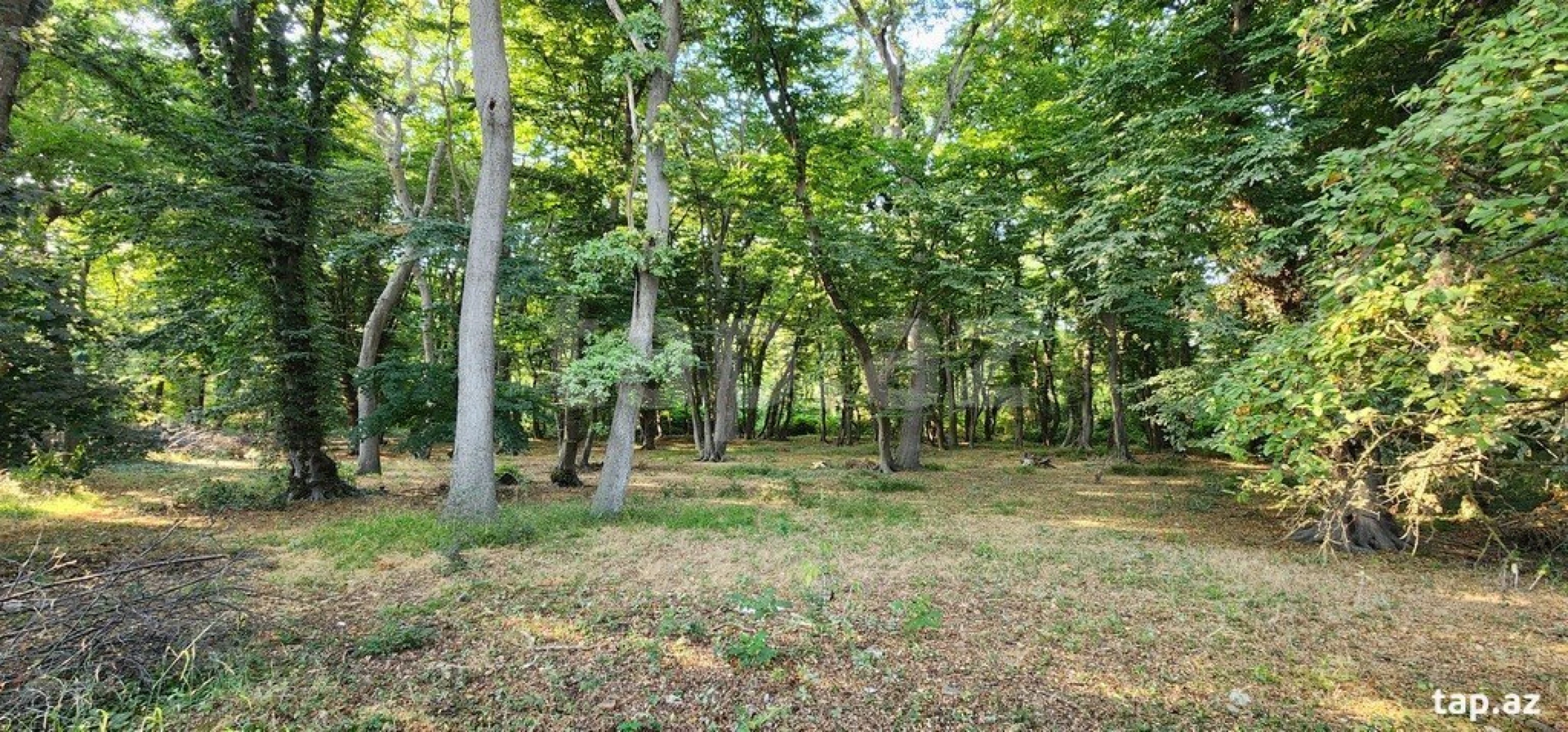 Satılır 6 otaqlı həyət evi