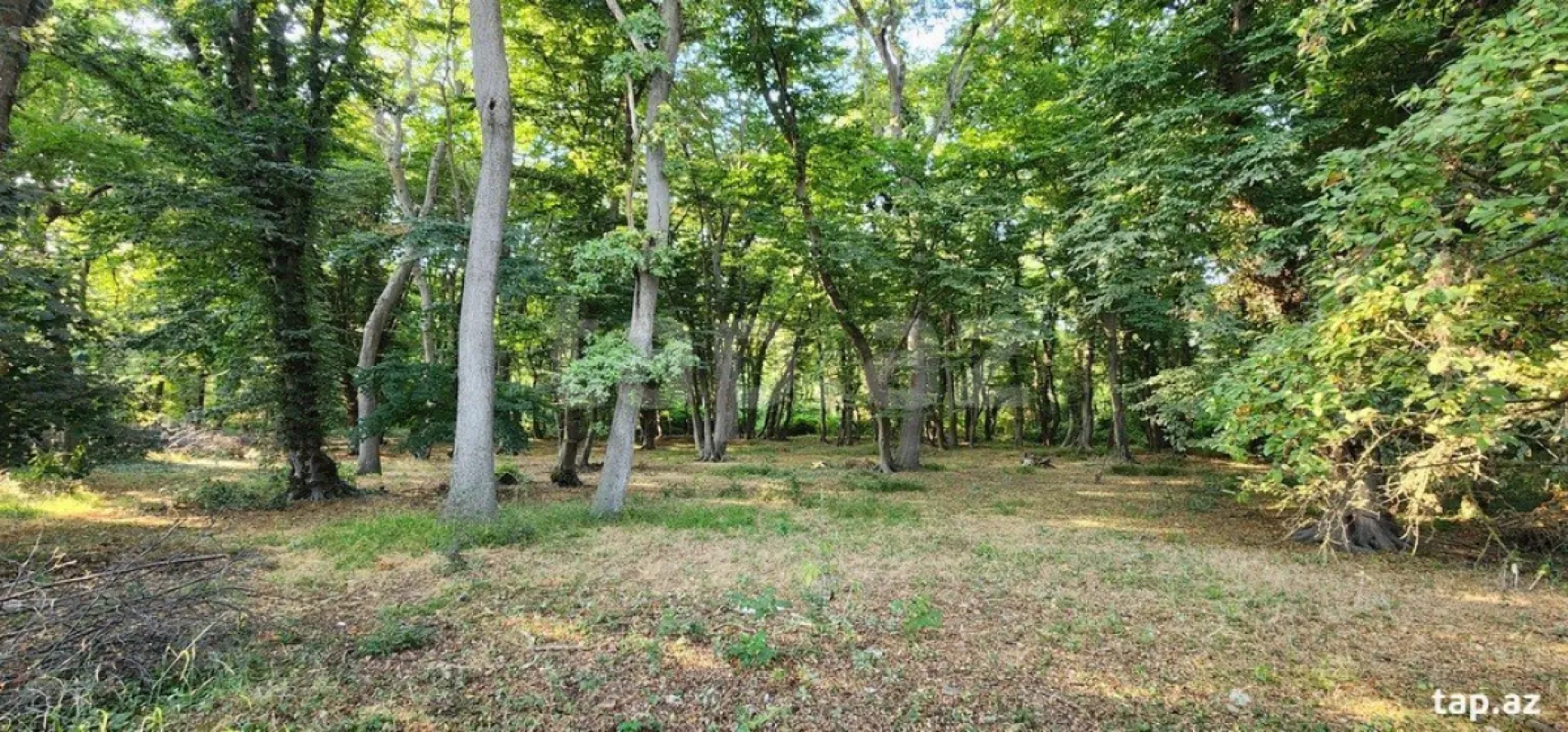 Satılır 6 otaqlı həyət evi