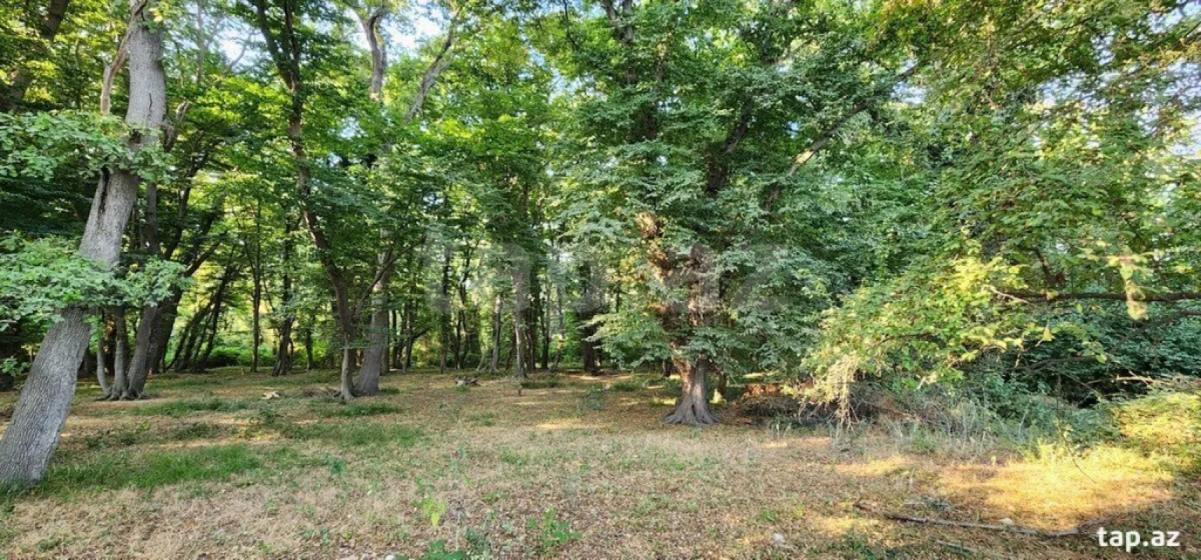 Satılır 6 otaqlı həyət evi