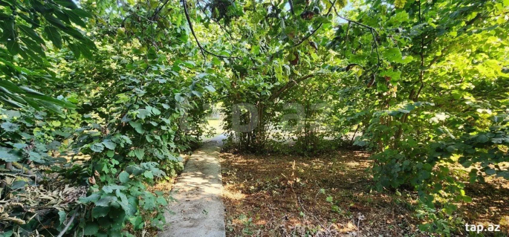 Satılır 6 otaqlı həyət evi
