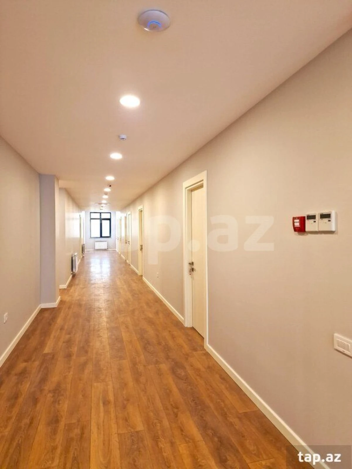 Kirayə verilir ofis