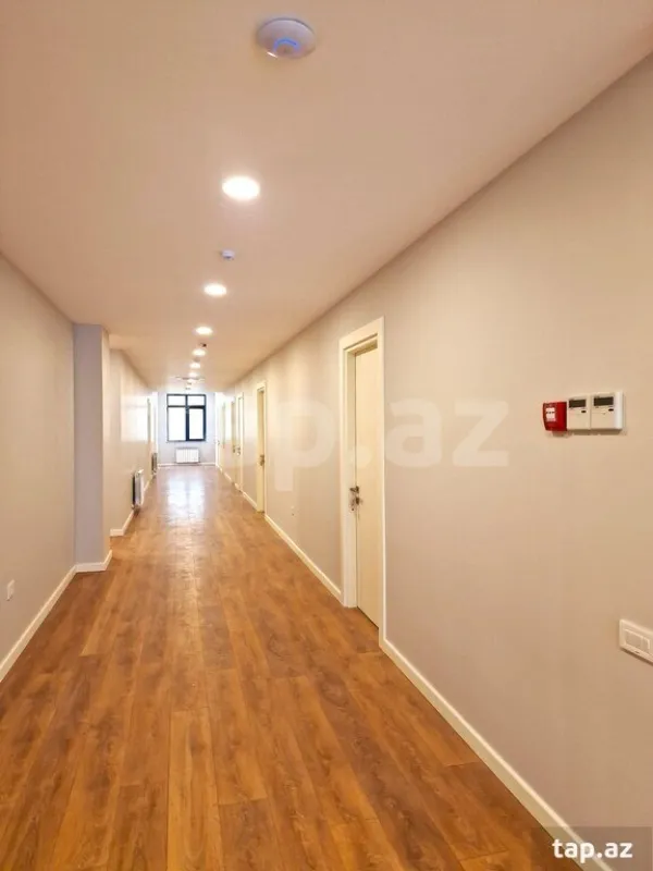 Kirayə verilir ofis