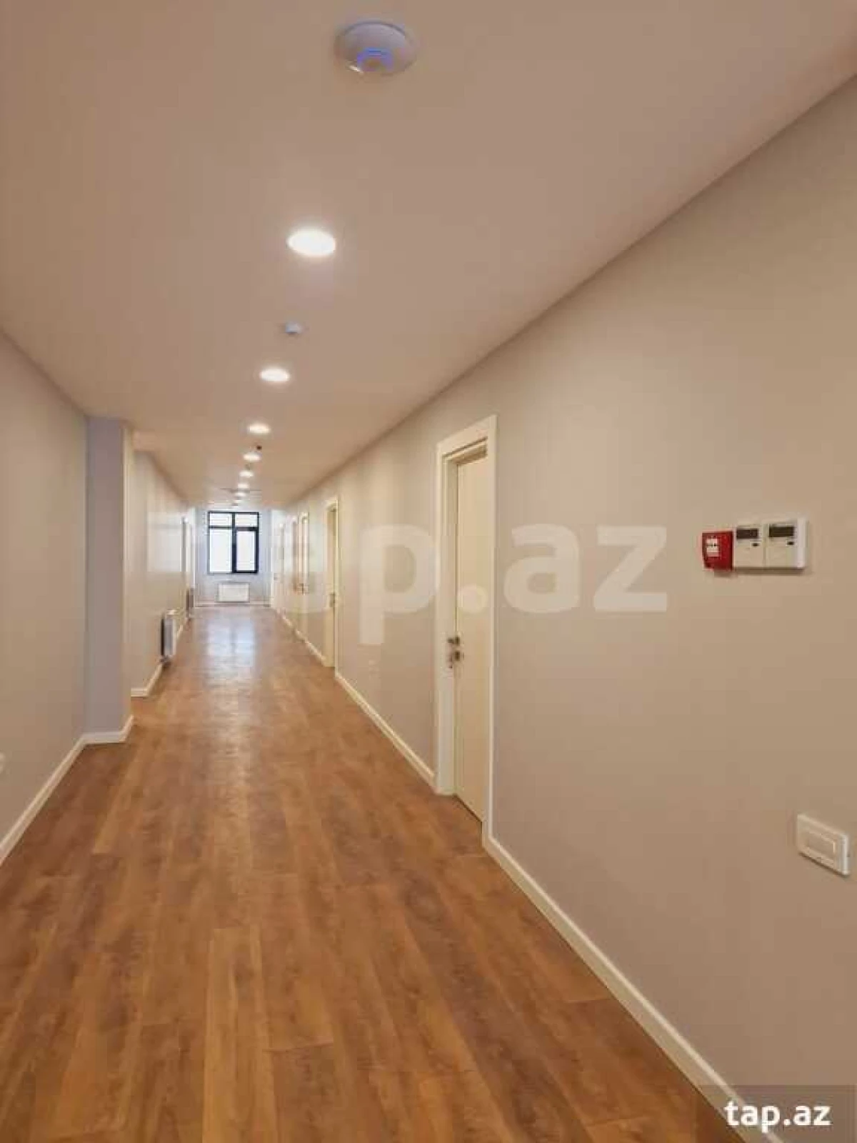 Kirayə verilir ofis