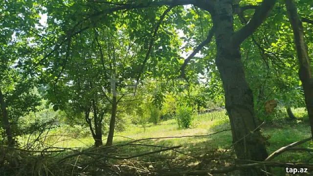 Satılır torpaq sahəsi — İsmayıllı