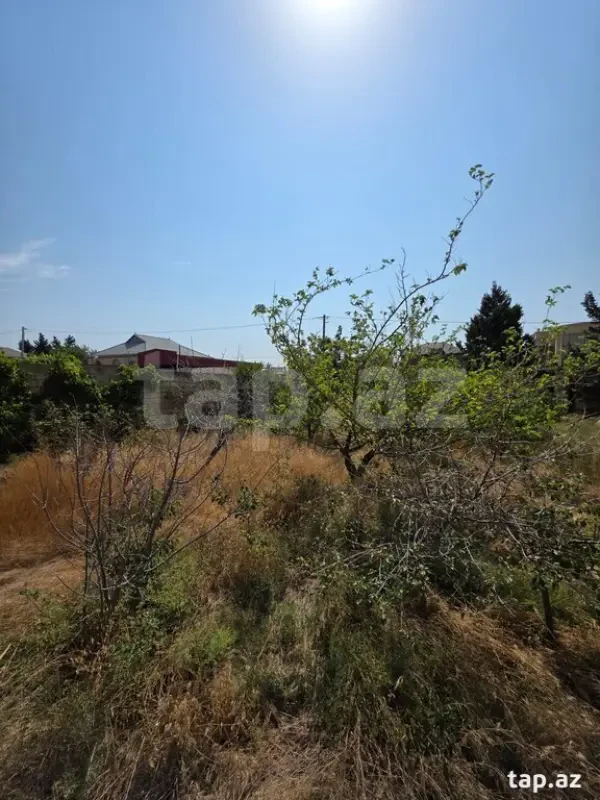 Satılır torpaq sahəsi
