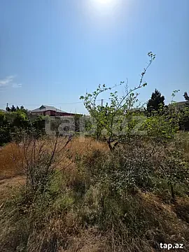 Satılır torpaq sahəsi — Sumqayıt, Saray