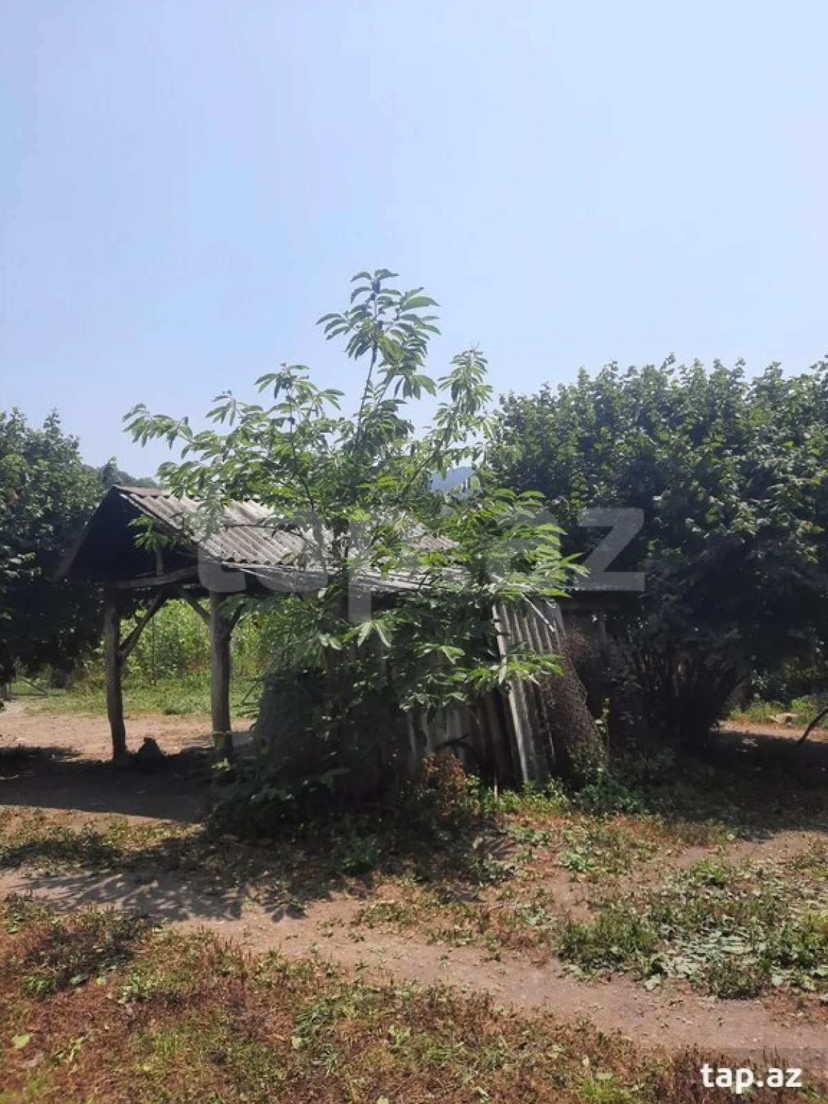 Satılır 3 otaqlı həyət evi