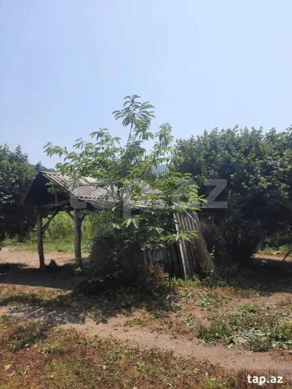 Satılır 3 otaqlı həyət evi