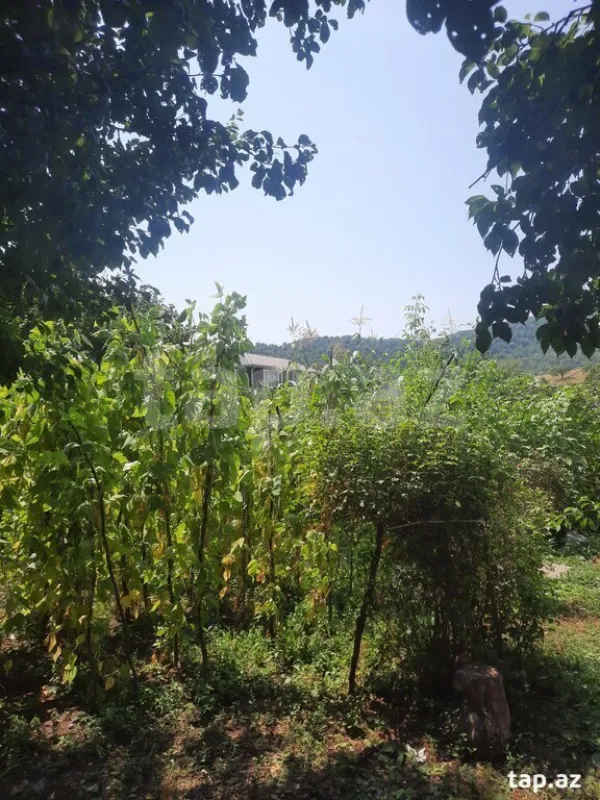 Satılır 3 otaqlı həyət evi