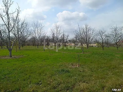 Satılır torpaq sahəsi — Xaçmaz
