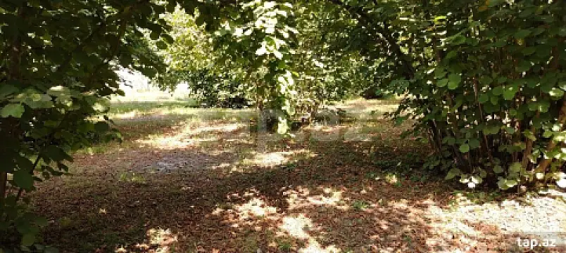 Satılır torpaq sahəsi — Qəbələ