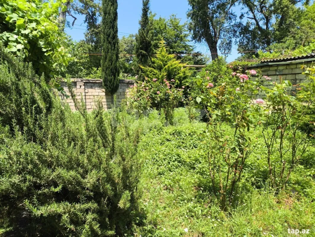 Satılır 4 otaqlı həyət evi