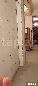 Kirayə verilir obyekt — Bakı, Nizami