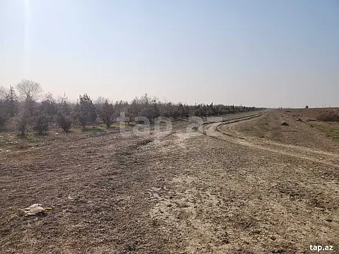 Satılır torpaq sahəsi — Bakı, Qaradağ