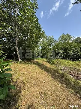 Satılır torpaq sahəsi — Qusar