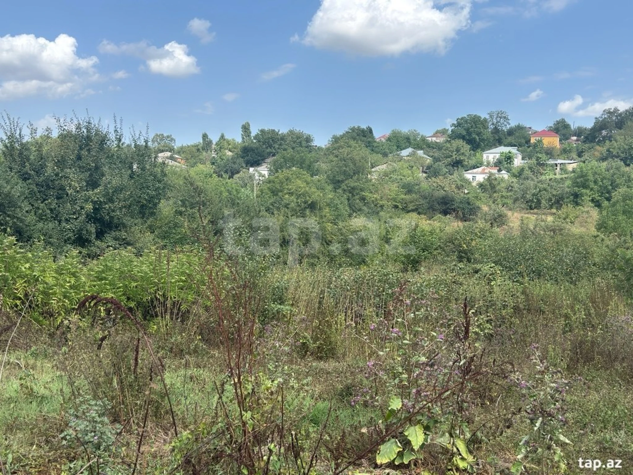 Satılır torpaq sahəsi