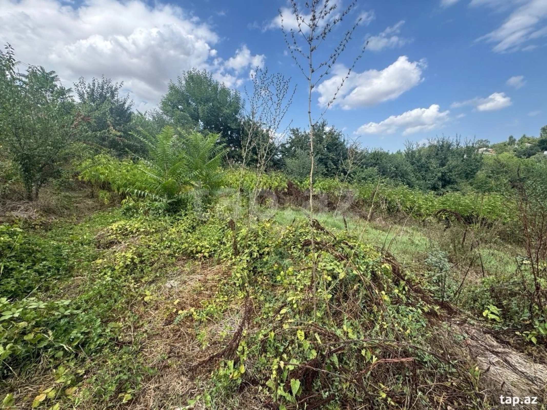 Satılır torpaq sahəsi