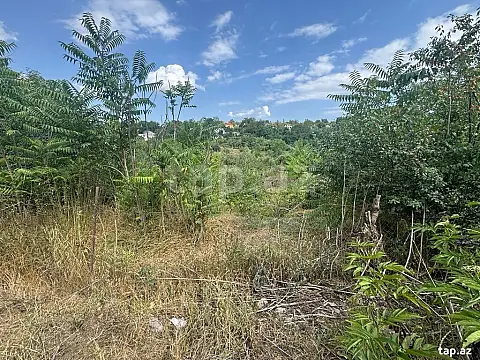 Satılır torpaq sahəsi — Qusar