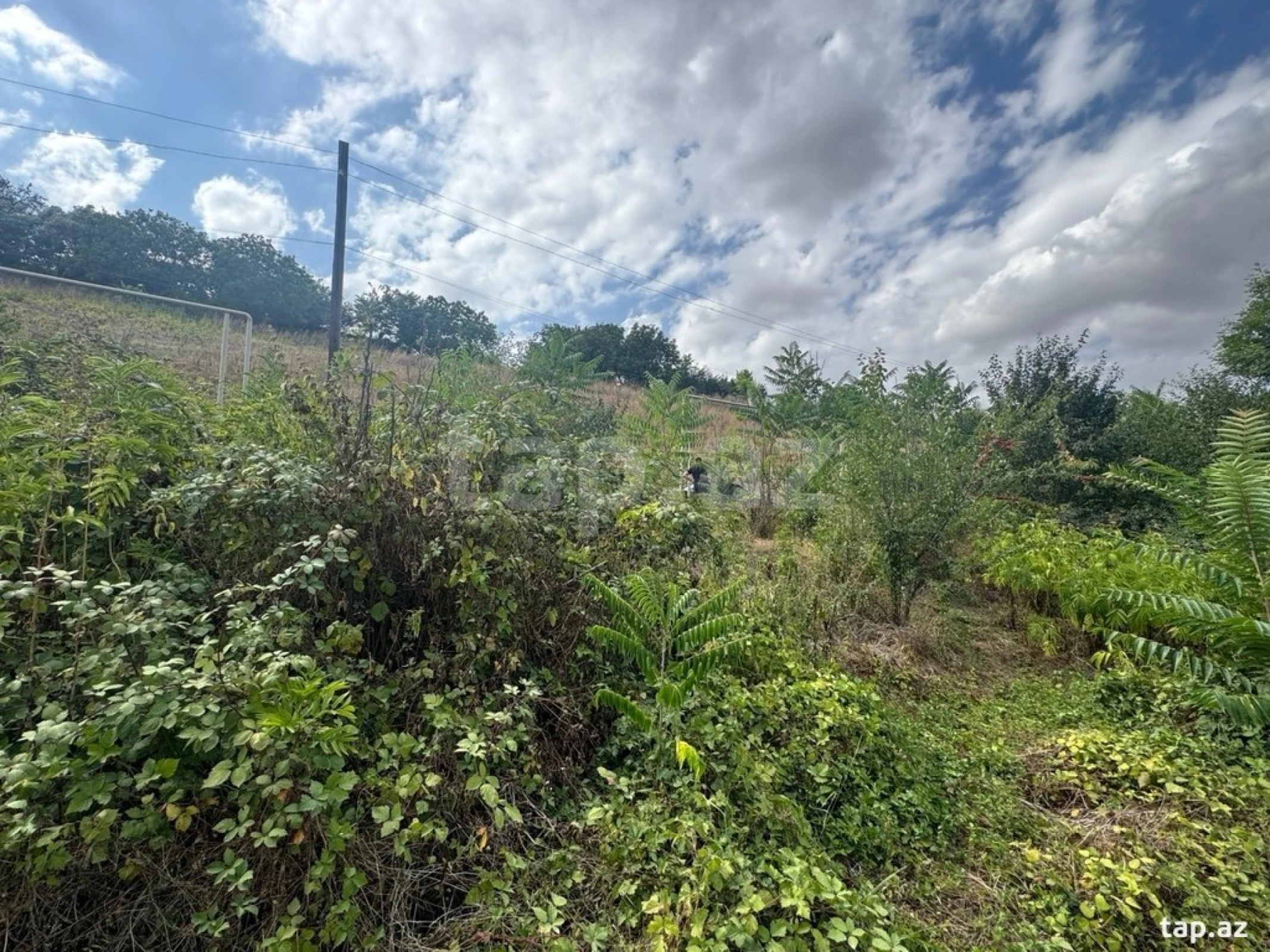 Satılır torpaq sahəsi