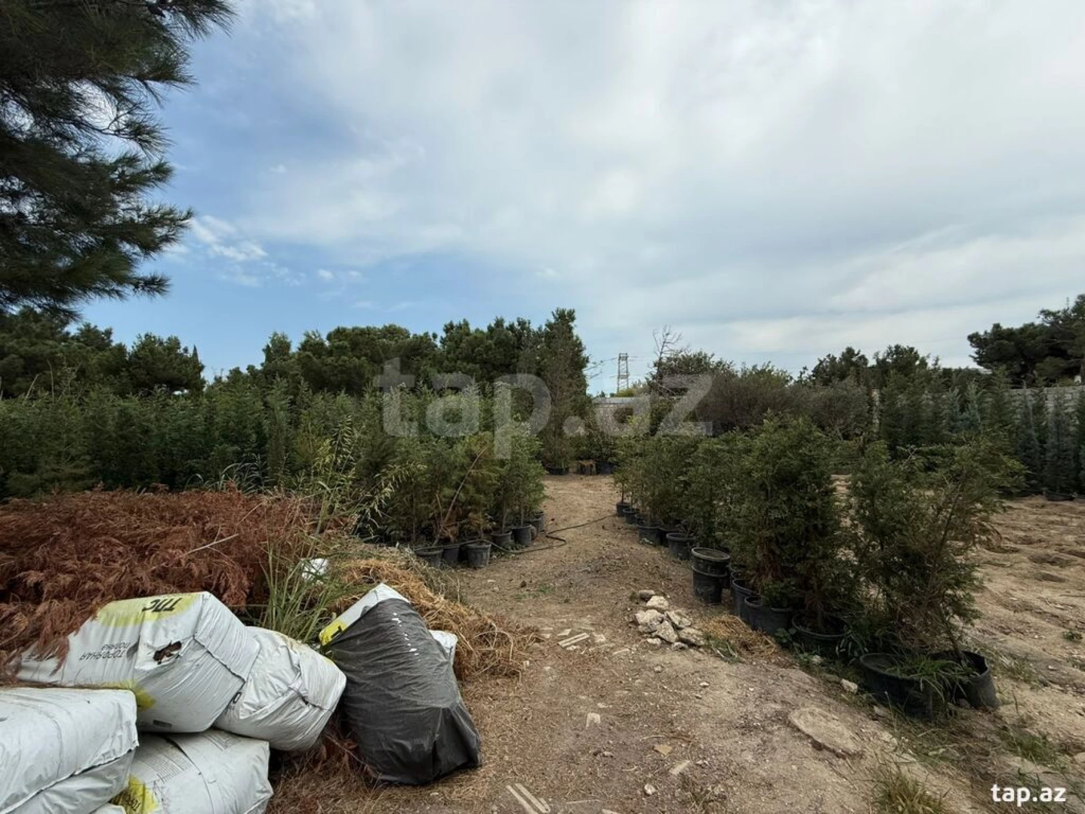 Satılır torpaq sahəsi