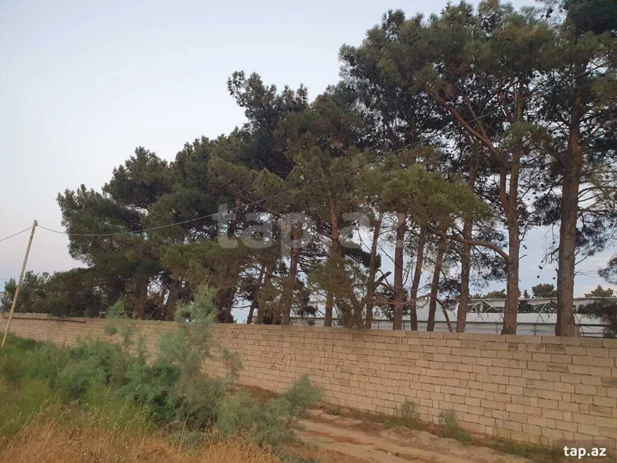 Satılır torpaq sahəsi