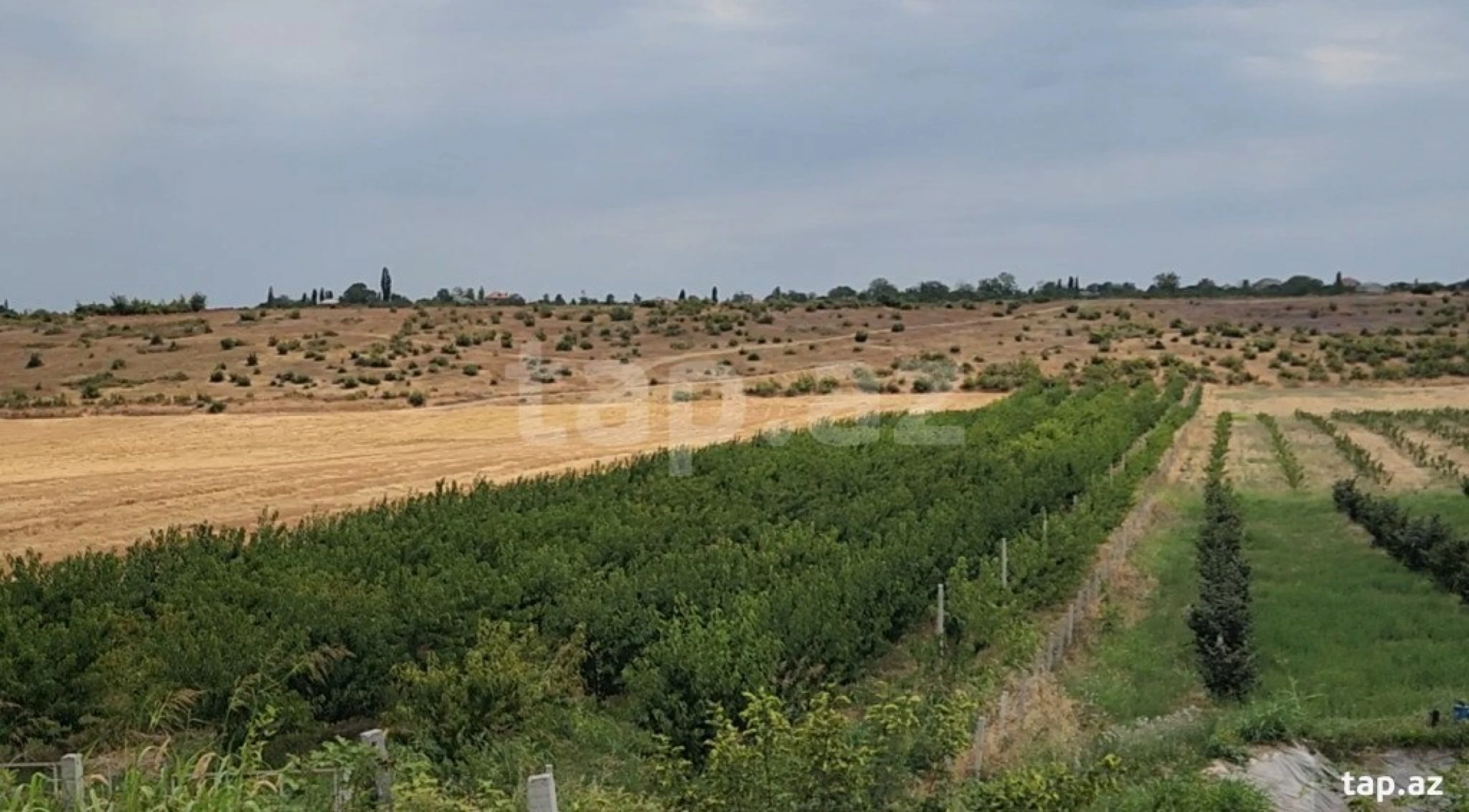 Satılır torpaq sahəsi