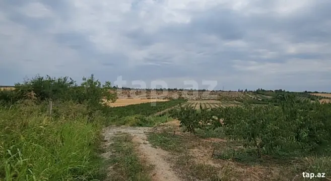 Satılır torpaq sahəsi — Qusar