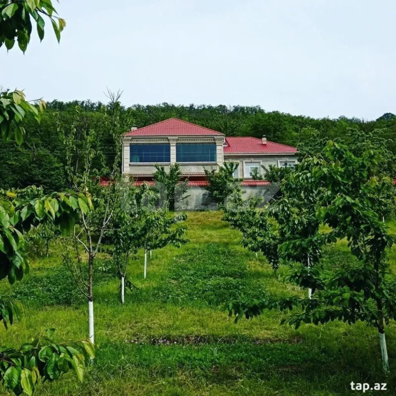 Kirayə verilir 5 otaqlı həyət evi