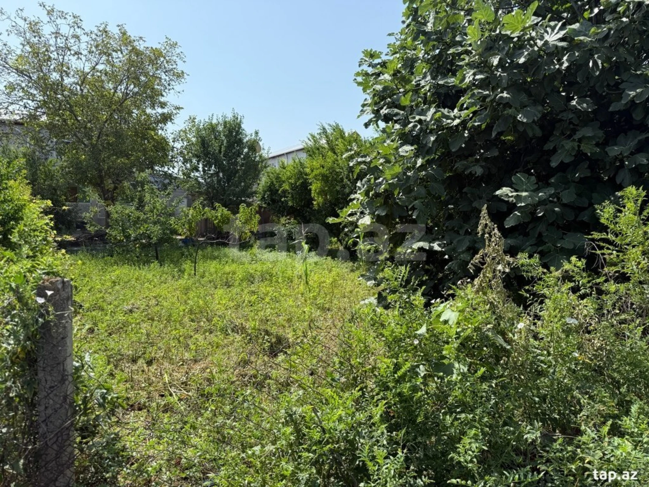 Satılır torpaq sahəsi