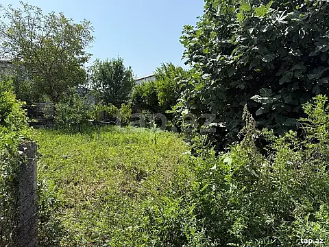 Satılır torpaq sahəsi — Tovuz