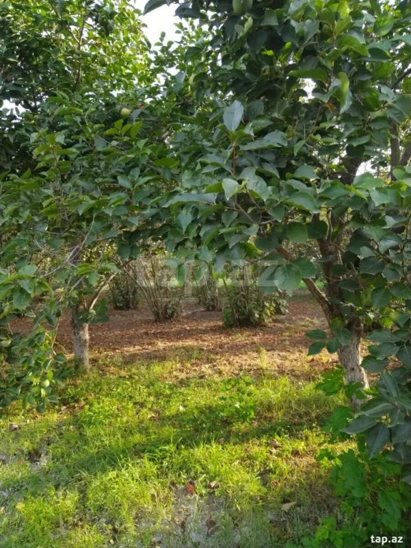 Satılır 5 otaqlı həyət evi 200 m²