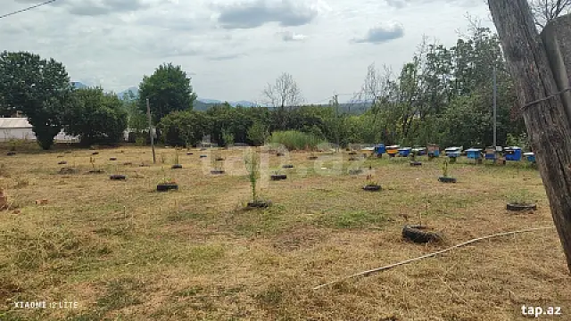 Satılır torpaq sahəsi — Qəbələ