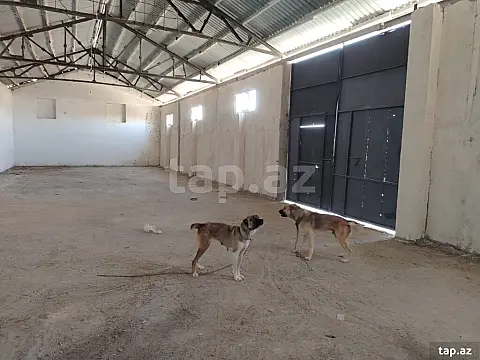 Kirayə verilir obyekt — Bakı, Abşeron