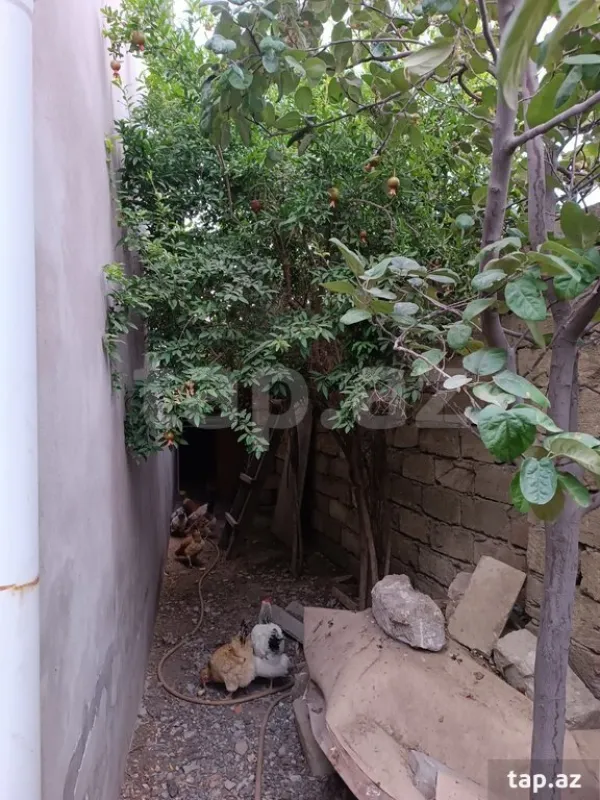 Satılır 4 otaqlı həyət evi 140 m²