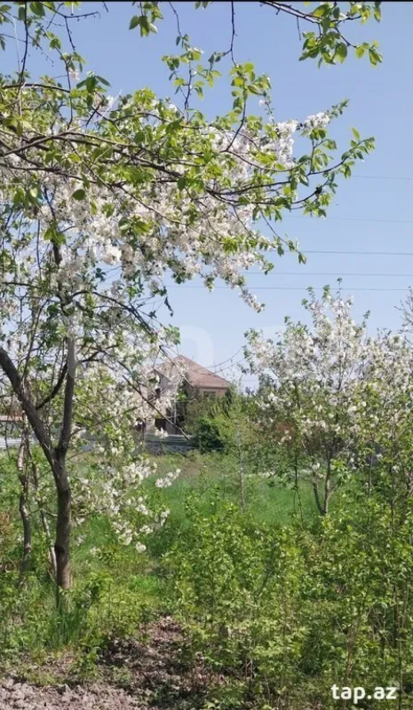 Satılır torpaq sahəsi