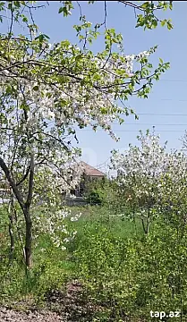 Satılır torpaq sahəsi — Ağdaş
