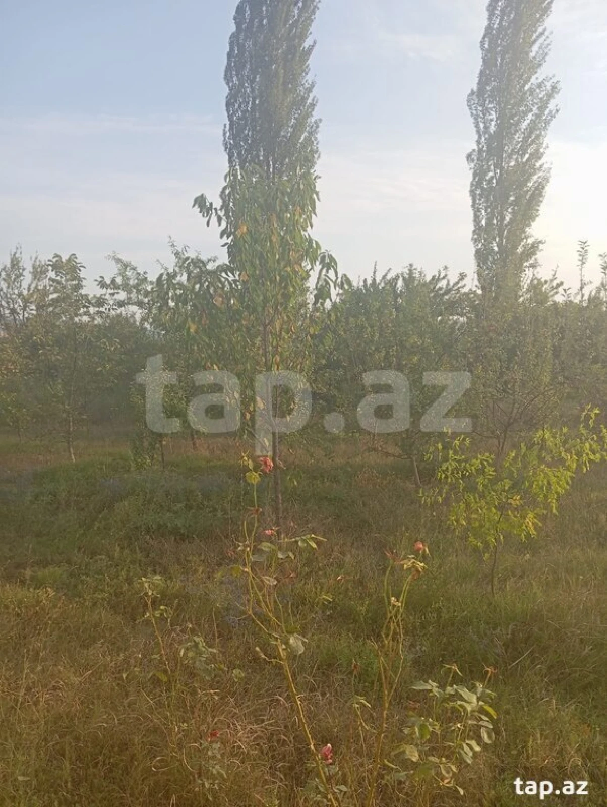 Satılır 2 otaqlı həyət evi